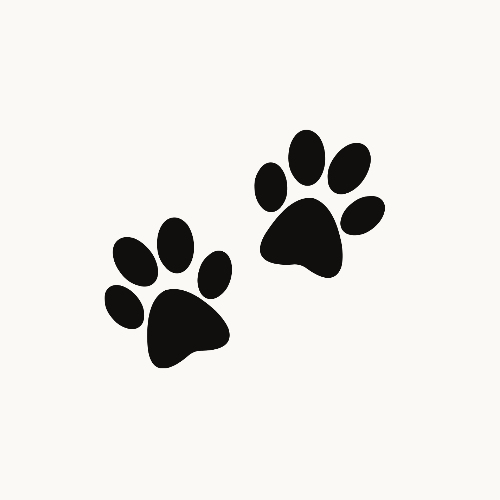 Animaux